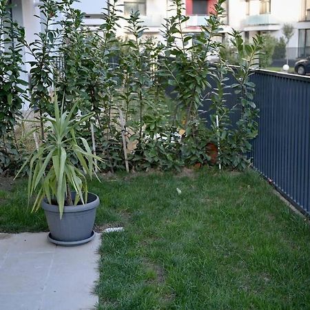 #Minehouse Apartment Timisoara Exterior photo