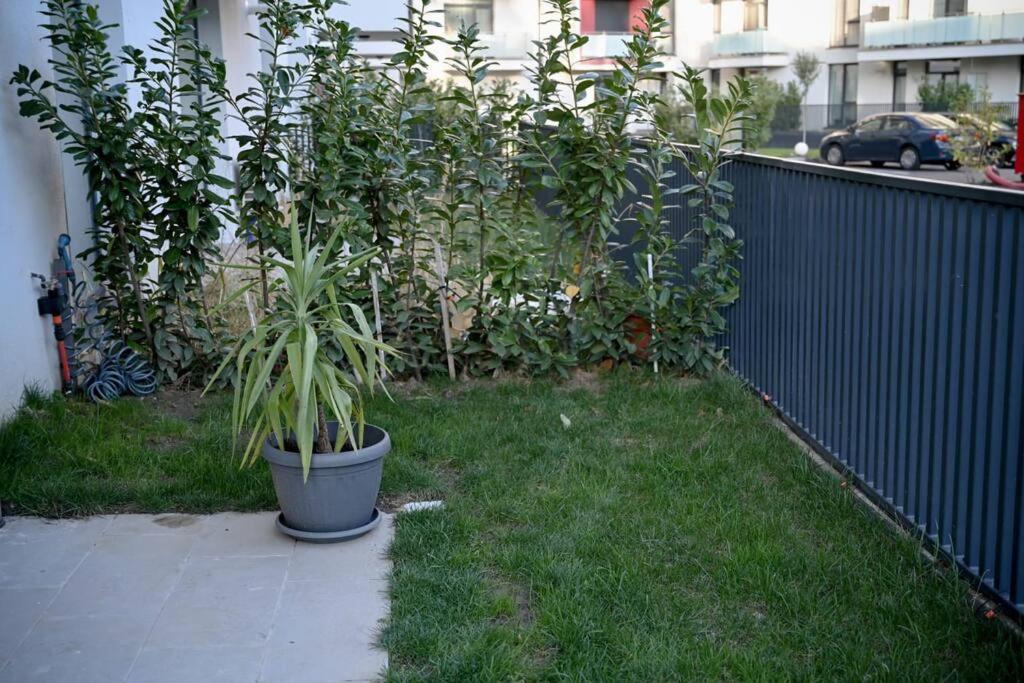 #Minehouse Apartment Timisoara Exterior photo